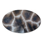 Giraffe Skin Magnet (Oval)