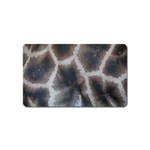 Giraffe Skin Magnet (Name Card)
